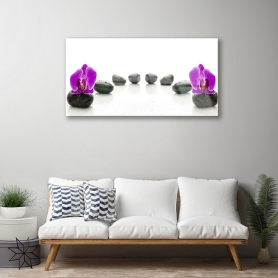 Obraz Akrylowy Kwiat Storczyki Kamyczki
