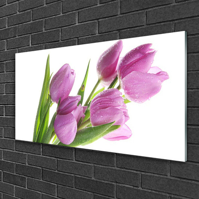 Obraz Akrylowy Tulipany Kwiaty Roślina