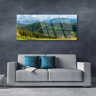 Obraz Akrylowy Góra Las Przyroda