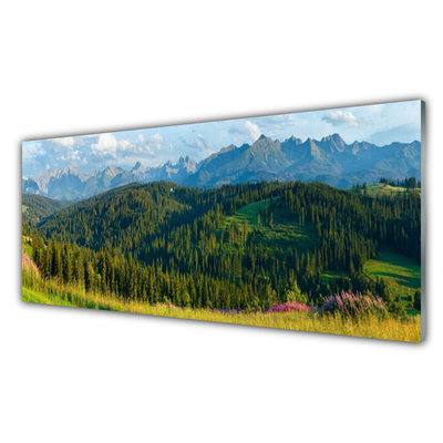 Obraz Akrylowy Góra Las Przyroda