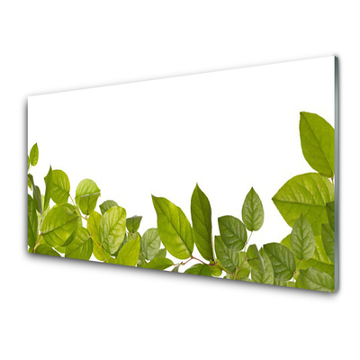 Obraz Akrylowy Liście Natura Roślina