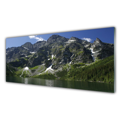 Obraz Akrylowy Góry Jezioro Las Krajobraz