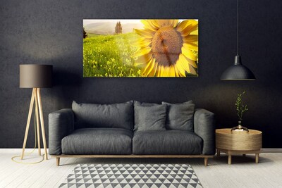 Obraz Akrylowy Słonecznik Kwiat Roślina