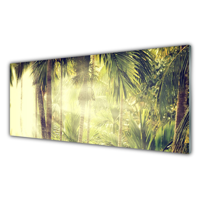 Obraz Akrylowy Las Palmy Drzewa Natura