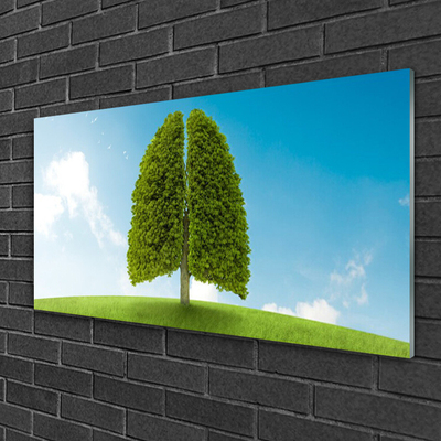 Obraz Akrylowy Trawa Drzewo Płuca Przyroda