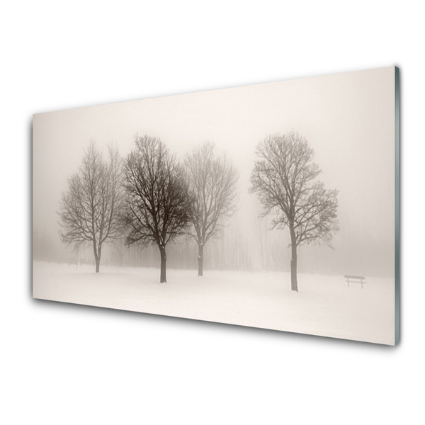 Obraz Akrylowy Śnieg Drzewa Krajobraz