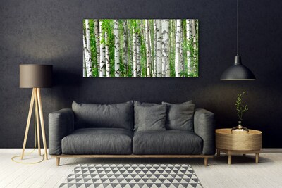 Obraz Akrylowy Las Roślina Natura Drzewa