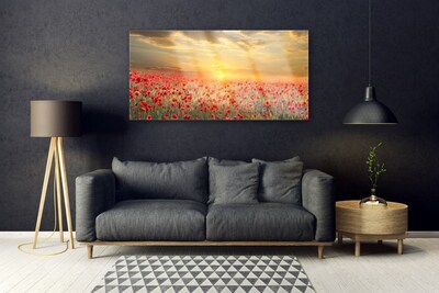 Obraz Akrylowy Słońce Łąka Mak Kwiaty