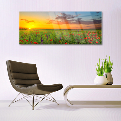Obraz Akrylowy Słońce Łąka Kwiaty Natura