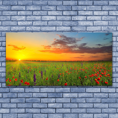 Obraz Akrylowy Słońce Łąka Kwiaty Natura