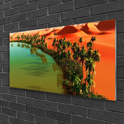 Obraz Akrylowy Jezioro Pustynia Palmy