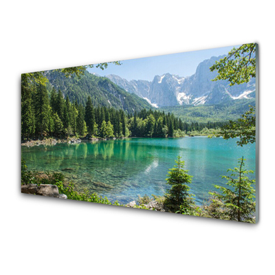Obraz Akrylowy Góry Jezioro Las Przyroda