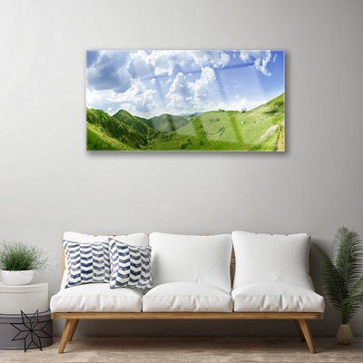 Obraz Akrylowy Góra Łąka Przyroda Pole