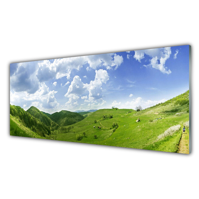 Obraz Akrylowy Góra Łąka Przyroda Pole