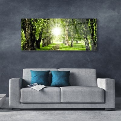 Obraz Akrylowy Las Słońce Ścieżka Natura