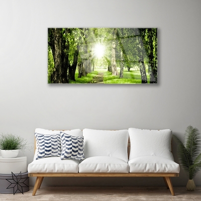 Obraz Akrylowy Las Słońce Ścieżka Natura