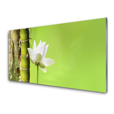 Obraz Akrylowy Bambus Łodyga Roślina Natura