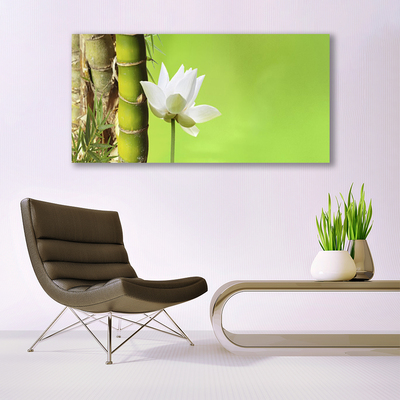 Obraz Akrylowy Bambus Łodyga Roślina Natura
