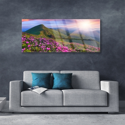 Obraz Akrylowy Góry Łąka Kwiaty Krajobraz