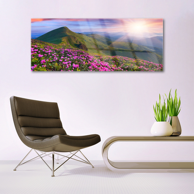 Obraz Akrylowy Góry Łąka Kwiaty Krajobraz