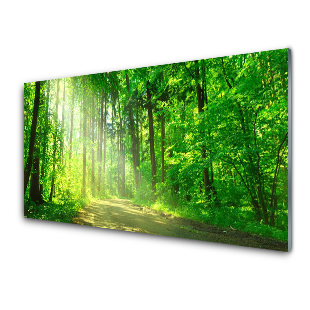 Obraz Akrylowy Las dróżka Drzewa Natura