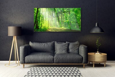 Obraz Akrylowy Las dróżka Drzewa Natura