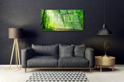 Obraz Akrylowy Las dróżka Drzewa Natura