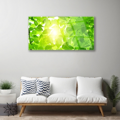 Obraz Akrylowy Liście Natura Słońce Roślina