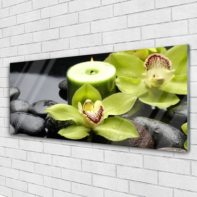 Obraz Akrylowy Orchidea Kwiaty