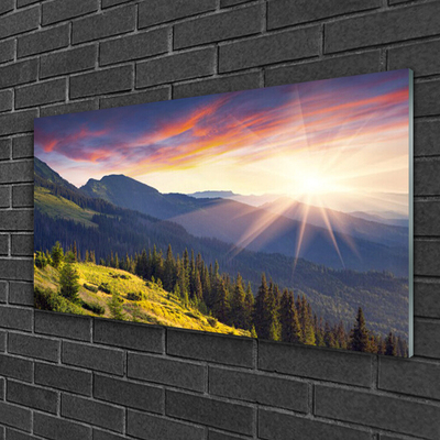 Obraz Akrylowy Góra Las Słońce Krajobraz