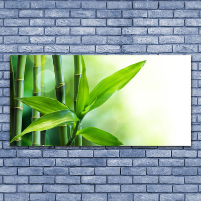 Obraz Akrylowy Bambus Liść Roślina Przyroda