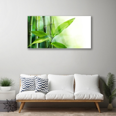 Obraz Akrylowy Bambus Liść Roślina Przyroda