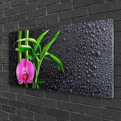 Obraz Akrylowy Bambus Kwiat Krople
