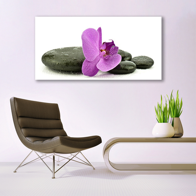 Obraz Akrylowy Kwiat Orchidea Storczyk