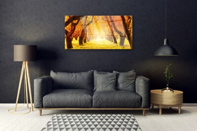 Obraz Akrylowy Las Ścieżka Drzewa Natura