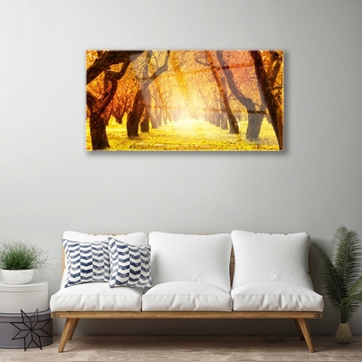 Obraz Akrylowy Las Ścieżka Drzewa Natura