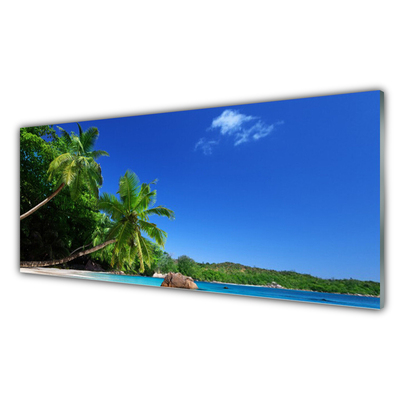 Obraz Akrylowy Palma Drzewa Plaża Krajobraz