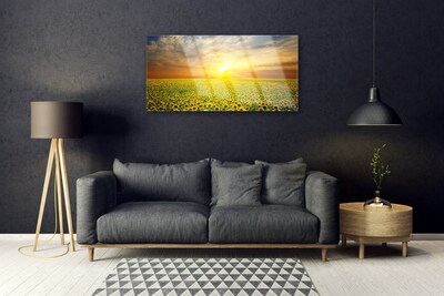 Obraz Akrylowy Słońce Łąka Słoneczniki