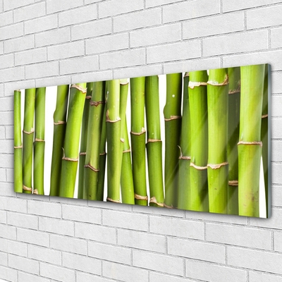 Obraz Akrylowy Bambus Roślina Przyroda