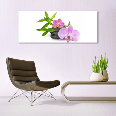 Obraz Akrylowy Kwiat Orchidea Roślina