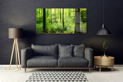 Obraz Akrylowy Las Zieleń Drzewa Natura