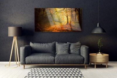 Obraz Akrylowy Las Dróżka Drzewa Przyroda