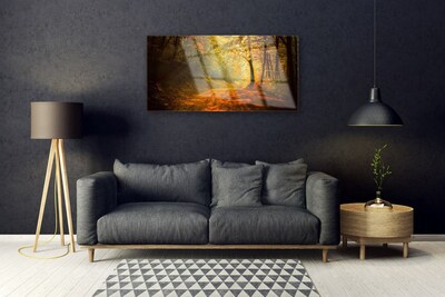 Obraz Akrylowy Las Dróżka Drzewa Przyroda