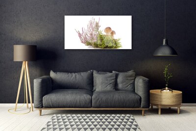Obraz Akrylowy Grzyby Roślina Przyroda