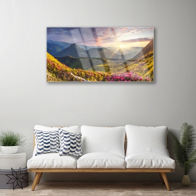 Obraz Akrylowy Góra Łąka Słońce Krajobraz