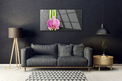Obraz Akrylowy Bambus Kwiat Roślina Natura