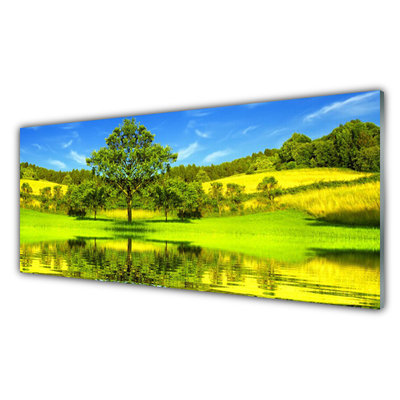 Obraz Akrylowy Łąka Drzewo Przyroda