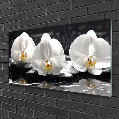 Obraz Akrylowy Kwiat Biała Orchidea