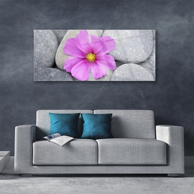 Obraz Akrylowy Kwiat Spa Roślina