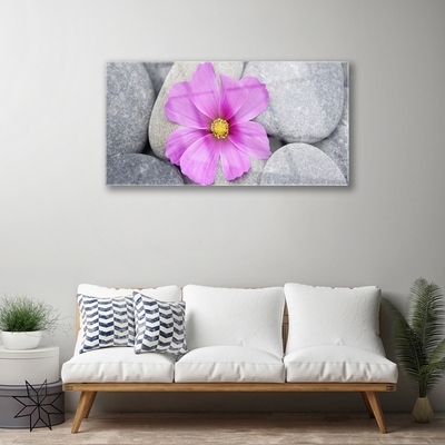 Obraz Akrylowy Kwiat Spa Roślina